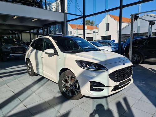 Ford Kuga ST-LINE X 2.0TDCI HYBRID DIESEL 150PK FULL OPTION, Auto's, Ford, Bedrijf, Te koop, Kuga, 360° camera, ABS, Achteruitrijcamera