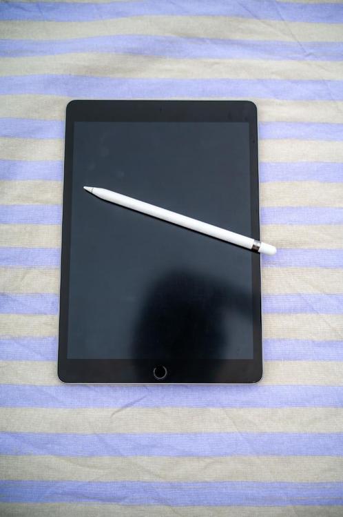 Ipad 10.2+pencil, Computers en Software, Apple iPads, Zo goed als nieuw, Apple iPad, Wi-Fi, 10 inch, 64 GB, Grijs, Ophalen