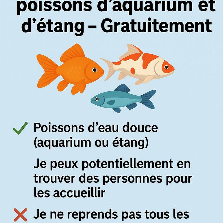 Récupération de poissons d’aquarium et d’étang – Gratuite, Dieren en Toebehoren, Vissen | Aquaria en Toebehoren, Gebruikt, Overige typen