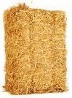 Kleine balen stro te koop, Zakelijke goederen, Landbouw | Veevoer, Ophalen