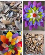 Couteaux schelpjes voor bloemetjes !, Hobby & Loisirs créatifs, Bricolage, Enlèvement ou Envoi