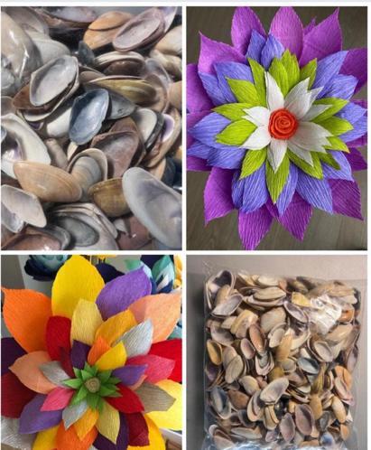 Couteaux schelpjes voor bloemetjes !, Hobby en Vrije tijd, Knutselen, Ophalen of Verzenden