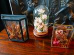 Vintage droogbloemen vitrinekastje serre stolp - 3 stuks, Huis en Inrichting, Woonaccessoires | Droogbloemen, Ophalen of Verzenden
