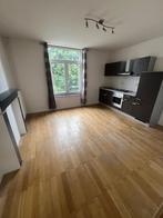 Appartement à louer à Namur Salzinnes, 1 chambre, 40 m², Appartement, 1 kamers