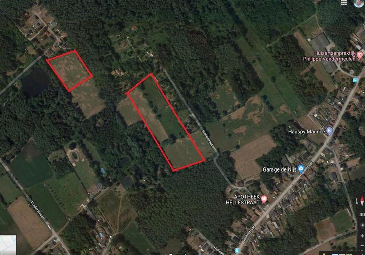 Weide weiland te koop in stekene, Immo, Terrains & Terrains à bâtir