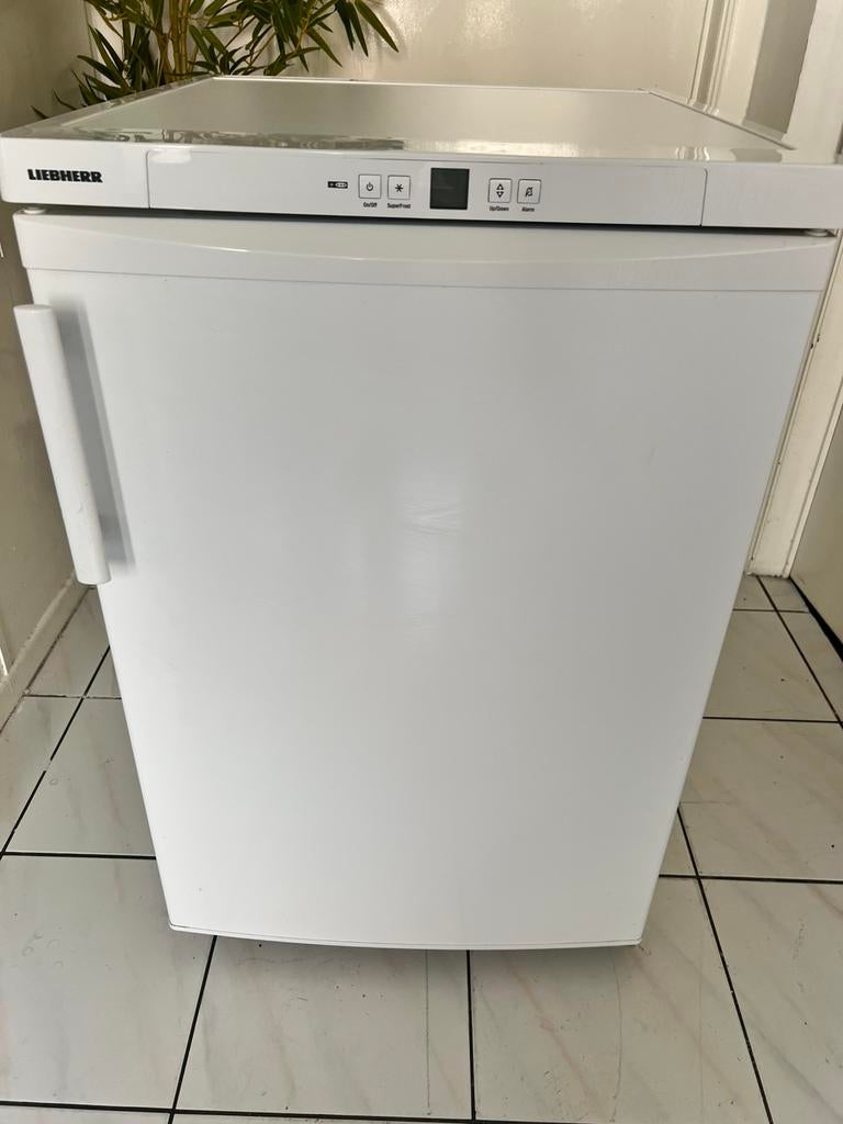 Congélateur Liebherr gp1376, Enlèvement, Comme neuf, Congélateur