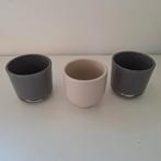 3 mini bloempotjes (gratis), Ophalen