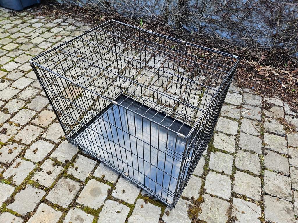 Cage pour chien 76x55x60cm, Enlèvement, Hondenbench, Moet dringend weg, 76x55x60cm