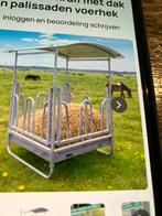 Zoek zo eentje tweedehands te koop, Animaux & Accessoires, Chevaux