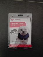 Petit collier pour chien, Animaux & Accessoires, Enlèvement