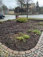 GRATIS boomschors, Ophalen