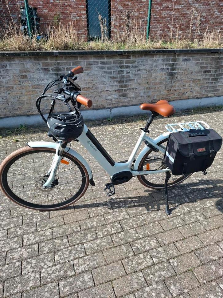Elektrische fiets BEAUFORT met fietskar voor 2 kinderen., Fietsen en Brommers, Elektrische fietsen, Ophalen
