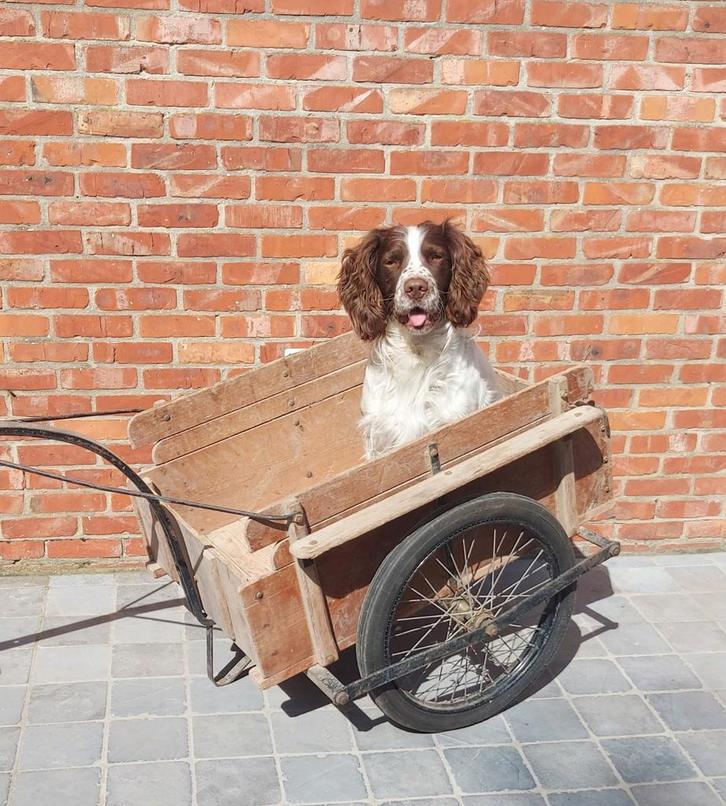 Brocante bolderkar, Caravanes & Camping, Chariots, Enlèvement
