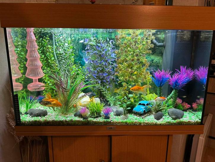 Aquarium - Juwel rio 125L, Dieren en Toebehoren, Vissen | Aquaria en Toebehoren, Gebruikt, Leeg aquarium, Ophalen