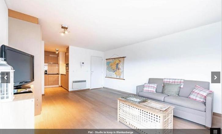 STUDIO à vendre, Immo, Maisons à vendre, Province de Flandre-Occidentale, Ventes sans courtier