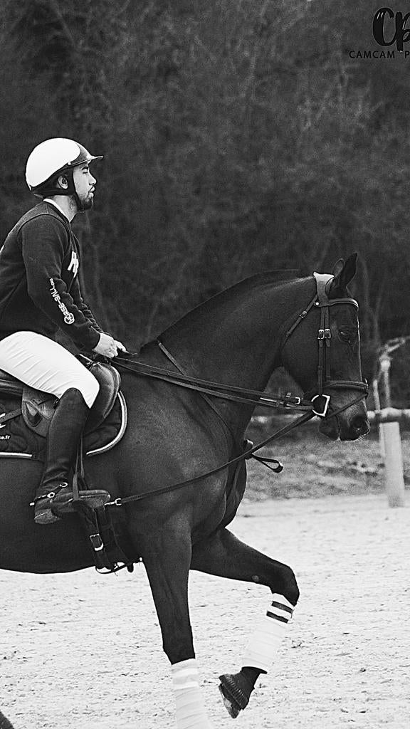 A vendre - Bessurra, pur-sang de 11ans, Enlèvement ou Envoi, Comme neuf