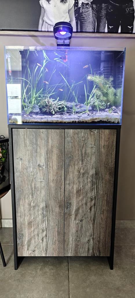Aquarium 90liters, Ophalen