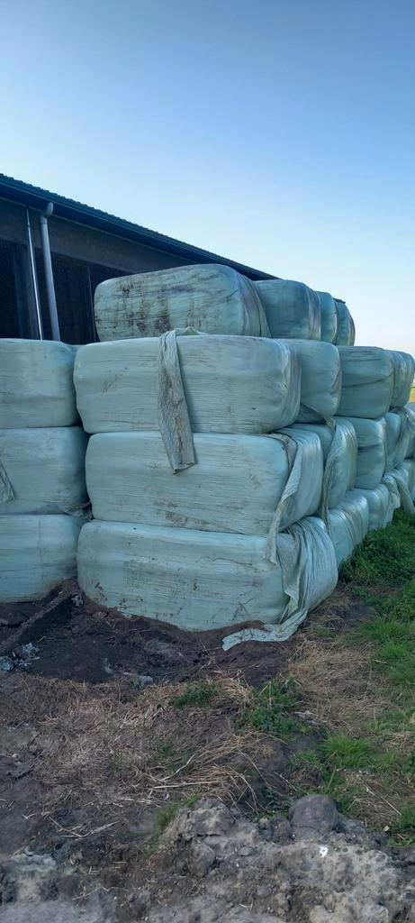 Droge voordroogpakken en balen hooi, Animaux & Accessoires, Nourriture pour Animaux, Enlèvement