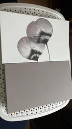 Coffret Rituals, Enlèvement, Comme neuf