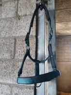 Halster te koop, Enlèvement ou Envoi