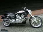 Zeer nette VRSCR Street Rod V-Rod V Rod, Plus de 35 kW, Chopper, Particulier, 1130 cm³