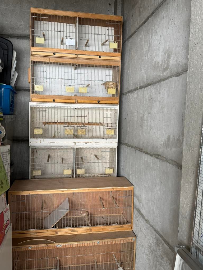 Kweekkooien, Ophalen, Zo goed als nieuw