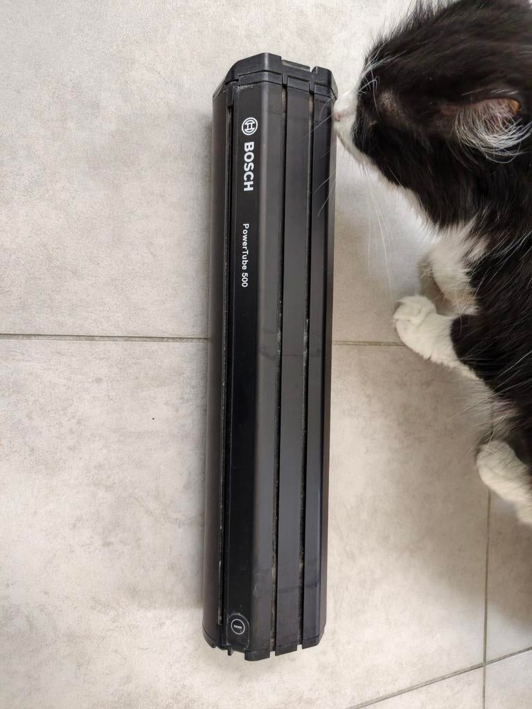 Batterie Bosch 500wh horizontal fonctionnant parfaitement, Vélos & Vélomoteurs, Enlèvement