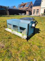 Élevage de poussins ou de cailles en cage, Enlèvement