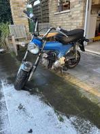 Dax, Gebruikt, 50 cc, 3 versnellingen, Ophalen