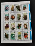 Chili 1991 - onderwaterfauna - velletje ** vissen koralen..., Postzegels en Munten, Ophalen of Verzenden, Dier of Natuur, Postfris