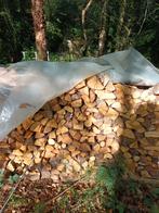 Brandhout , bos hout , beuk hout, Ophalen