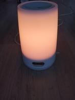 Philips luminothérapie, Ophalen of Verzenden, Gebruikt, Kunststof, Minder dan 50 cm