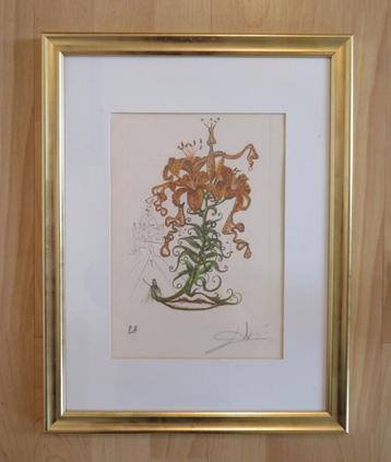 Lithografie van SALVADOR DALI: Tijgerlelies beschikbaar voor biedingen
