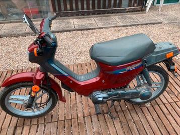 Honda Wallaroo classe B 