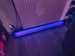 Black light met stevige behuizing, Ophalen