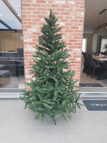 Kerstboom 170 cm groot beschikbaar voor biedingen