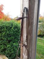 Leren bit met hoofdstel, Dieren en Toebehoren, Ophalen of Verzenden