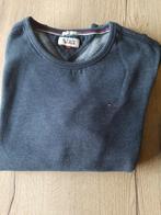 PULL TOMMY HILFIGER BLEU/GRIS TAILLE XL, Comme neuf, Bleu, Tommy hilfiger, Taille 56/58 (XL)