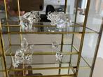 swarovski Crystal Zodiac Ox olifant varken 3 muisjes vitrine, Ophalen of Verzenden, Zo goed als nieuw, Figuurtje