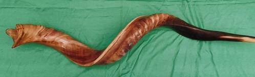Originele hoorn van koedoe (kudu), Verzamelen, Dierenverzamelingen, Zo goed als nieuw, Overige typen, Overige soorten, Ophalen