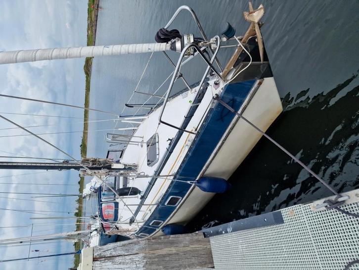 Phantom 35 ft Vetus 42 pk 2008, Watersport en Boten, Kajuitzeilboten en Zeiljachten, Zo goed als nieuw, Hout, Ophalen