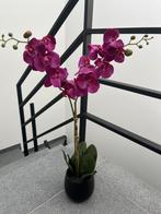 Kunst orchidee, Ophalen, Zo goed als nieuw
