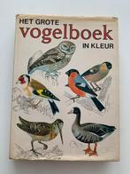 Het grote vogelboek in kleur, Livres, Animaux & Animaux domestiques, Utilisé, Enlèvement ou Envoi, Oiseaux