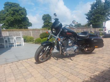 tres belle Harley Davidson Sportster XL 1200 CC  Annëë 2016, Particulier