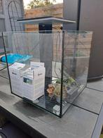 2 Vis aquaruim te koop., Dieren en Toebehoren, Ophalen