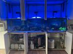 Aquarium Aqualife te koop, Dieren en Toebehoren, Vissen | Aquaria en Toebehoren, Ophalen, Gebruikt, Leeg aquarium