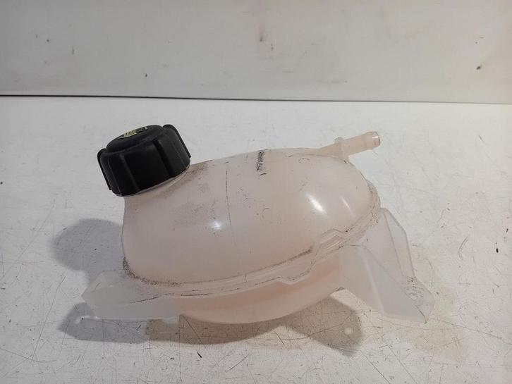 Koelvloeistof reservoir Dacia Duster, Autos : Pièces & Accessoires, Moteurs & Accessoires, Renault, Dacia, Utilisé, Origine de la pièce connue