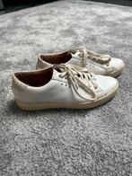 Sneakers michael kors, Kleding | Dames, Schoenen, Ophalen, Michael Kors, Beige, Sneakers