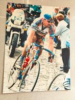 Photo agrandie : Johan Museeuw Paris Roubaix, Enlèvement ou Envoi