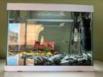 Aquarium met vissen en toebehoren, Dieren en Toebehoren, Ophalen, Gevuld zoetwateraquarium
